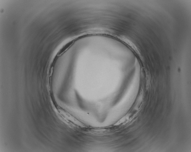 X0000067871342200605111750