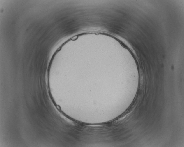 X0000067871343200605111750