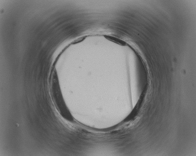 X0000067871344200605111750