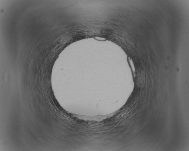 X0000067871345200605111749