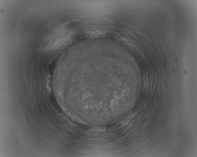 X0000067871346200605111749