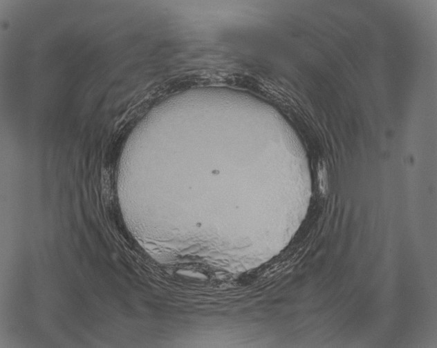 X0000067871347200605111749