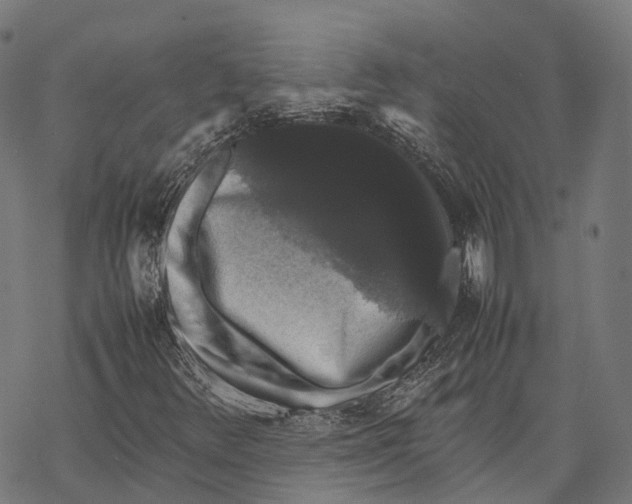 X0000067871348200605111749