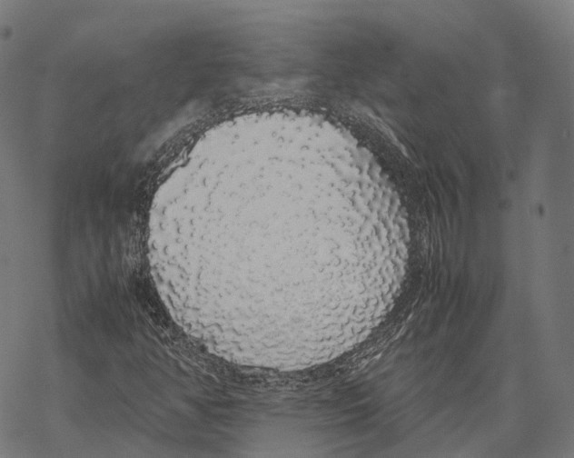 X0000067871350200605111749