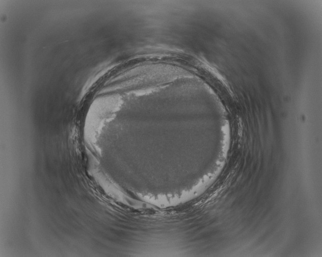 X0000067871352200605111749