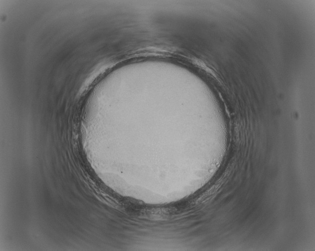 X0000067871355200605111749