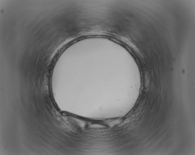 X0000067871356200605111749