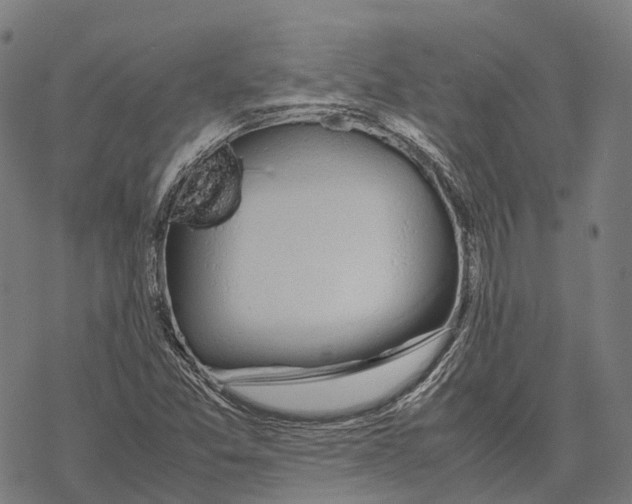 X0000067871357200605111749