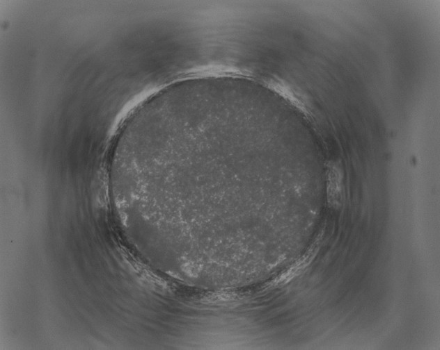 X0000067871358200605111749