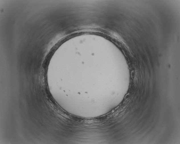 X0000067871360200605111749