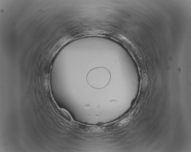 X0000067871361200605111749