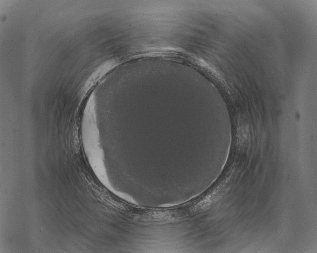 X0000067871362200605111749