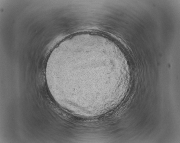 X0000067871363200605111749