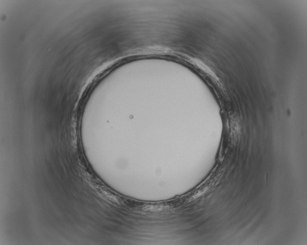 X0000067871364200605111749