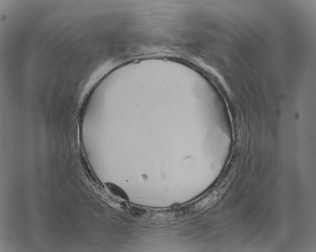 X0000067871365200605111749