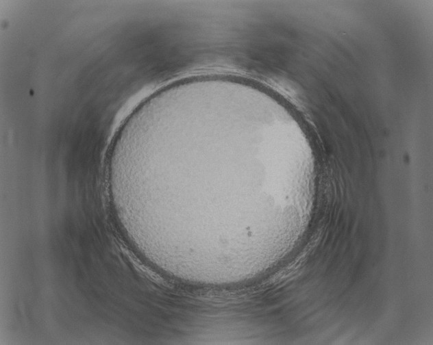 X0000067871366200605111749