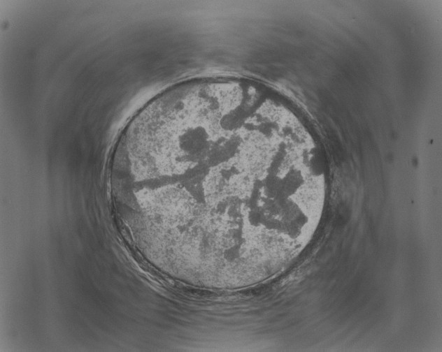 X0000067871367200605111748