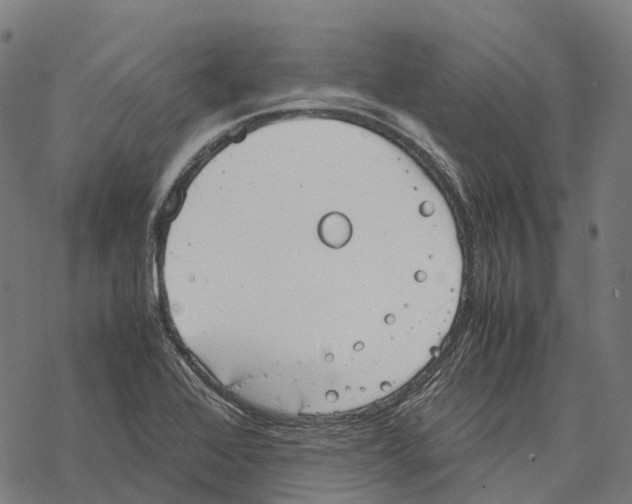 X0000067871368200605111748