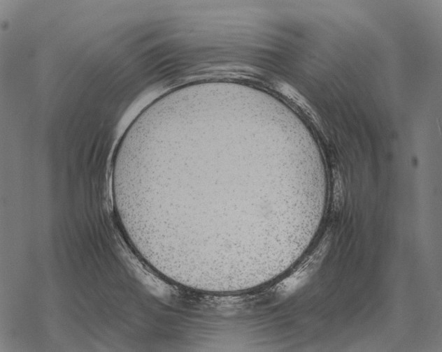 X0000067871370200605111748