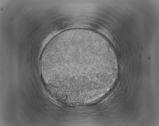 X0000067871371200605111748