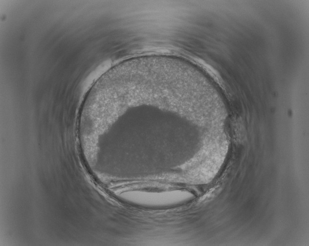 X0000067871373200605111748