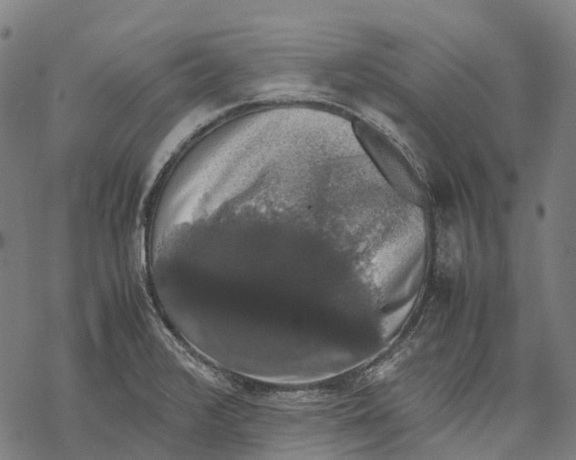 X0000067871376200605111748