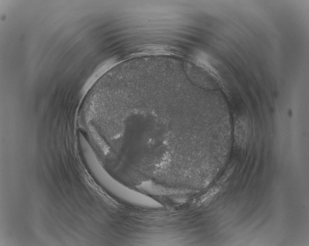 X0000067871378200605111748