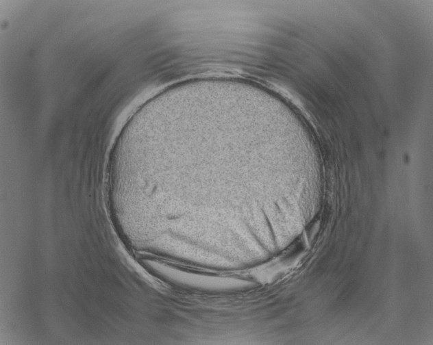 X0000067871379200605111748