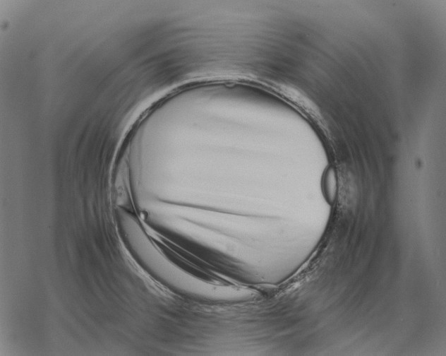 X0000067871380200605111748