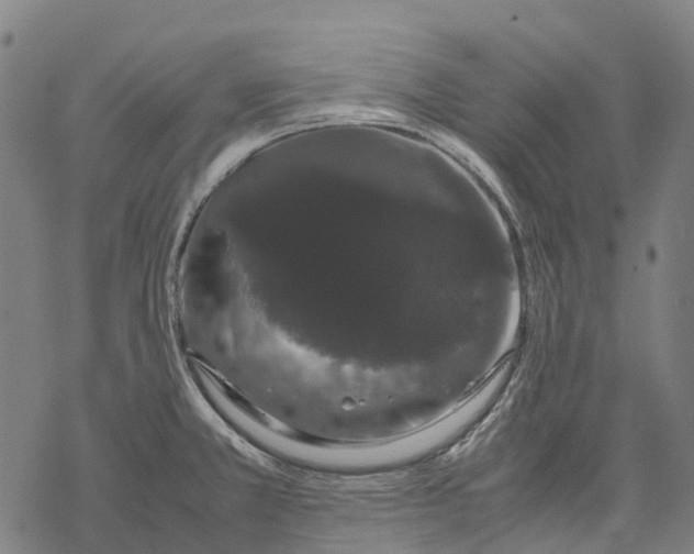 X0000067871381200605111748