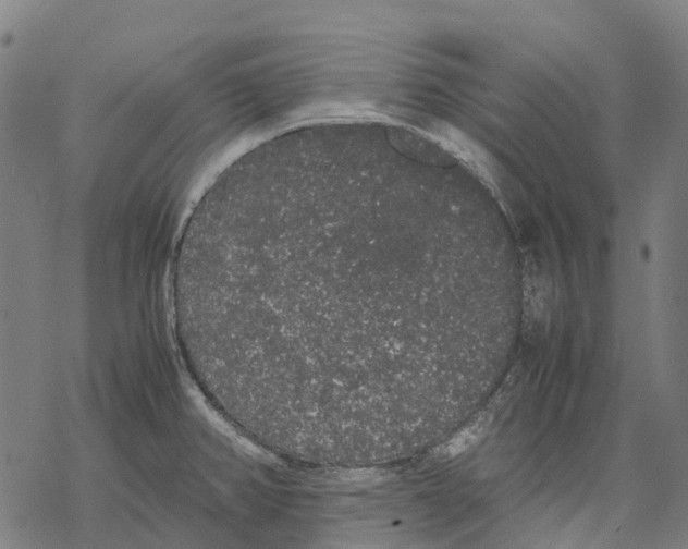 X0000067871382200605111748