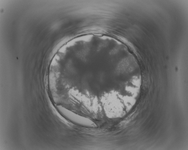 X0000067871383200605111748