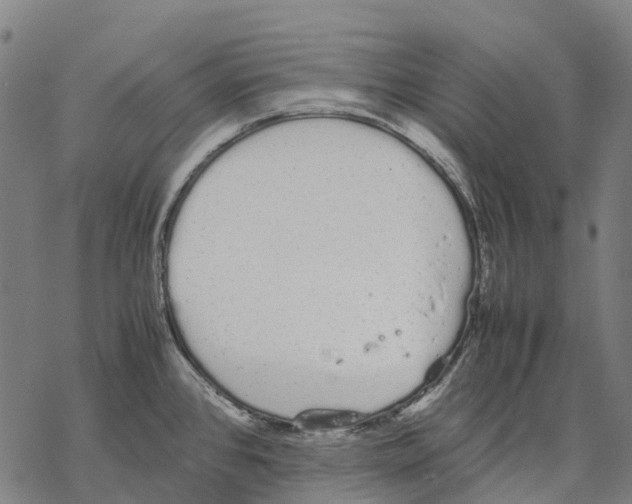 X0000067871384200605111748