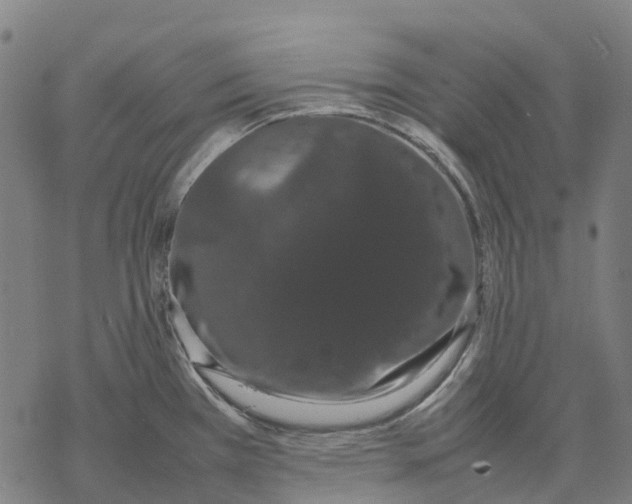 X0000067871385200605111748