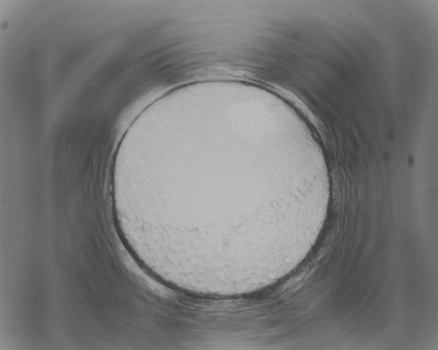 X0000067871387200605111748