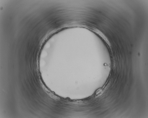 X0000067871388200605111748