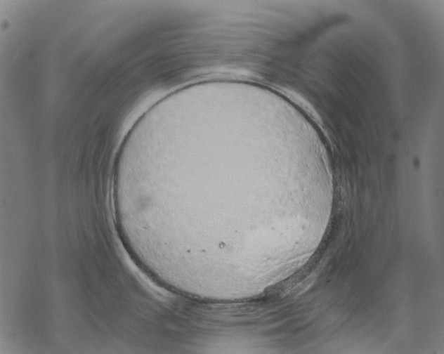 X0000067871391200605111748