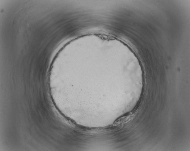 X0000067871392200605111748