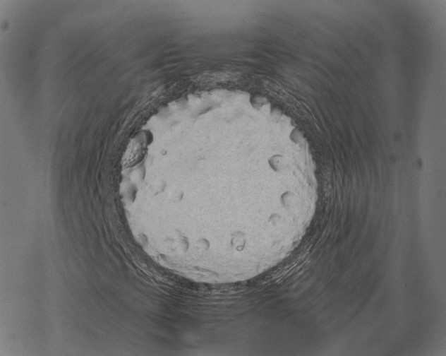 X0000067871393200605111747