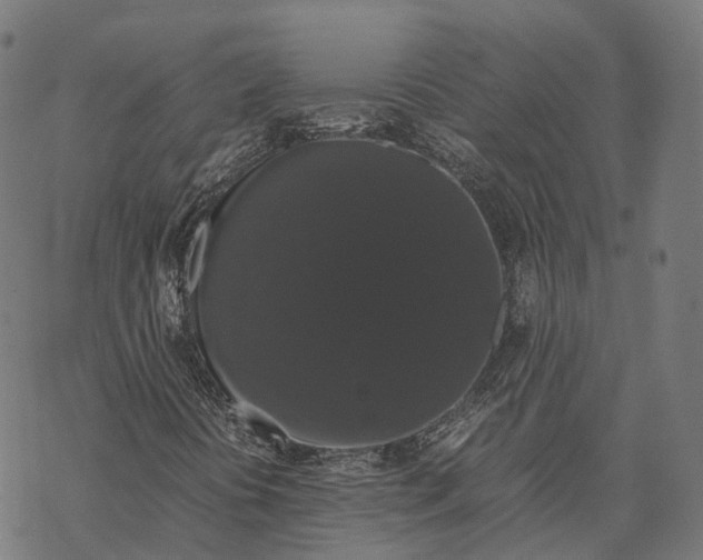 X0000067871394200605111747