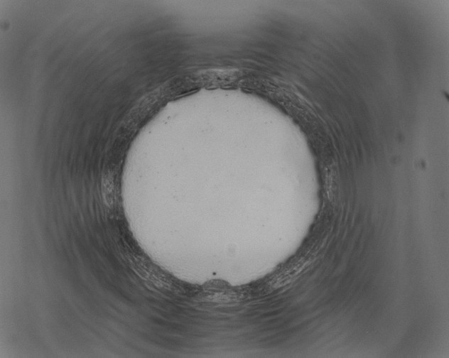 X0000067871395200605111747