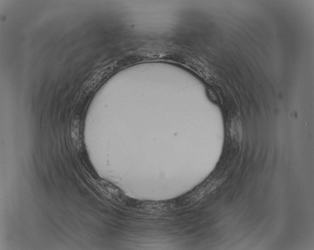 X0000067871396200605111747