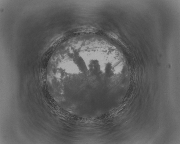 X0000067871399200605111747