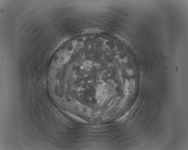 X0000067871401200605111747