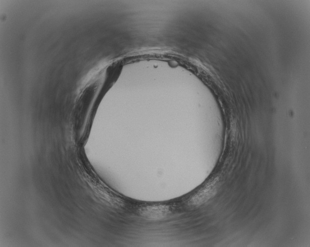 X0000067871406200605111748