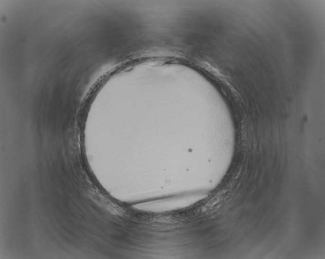 X0000067871408200605111748