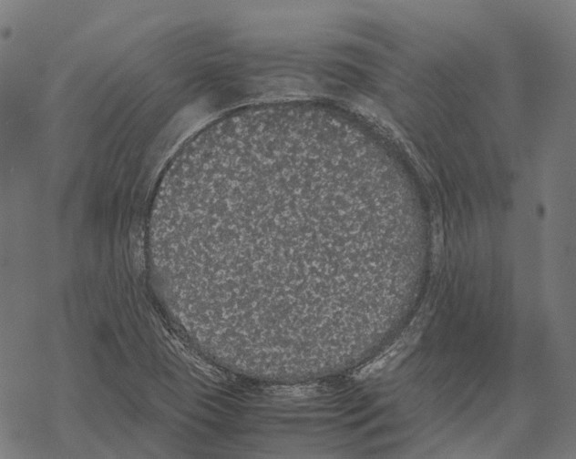 X0000067871409200605111748