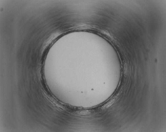 X0000067871410200605111748