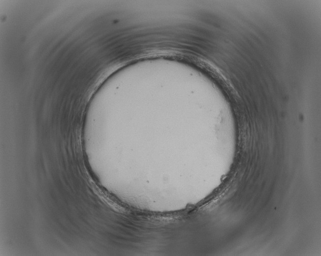 X0000067871417200605111748