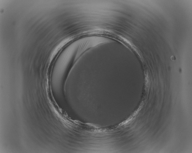 X0000067871418200605111748